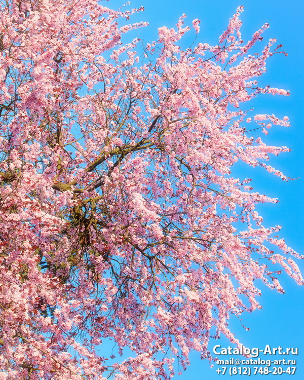 Blossom tree 113